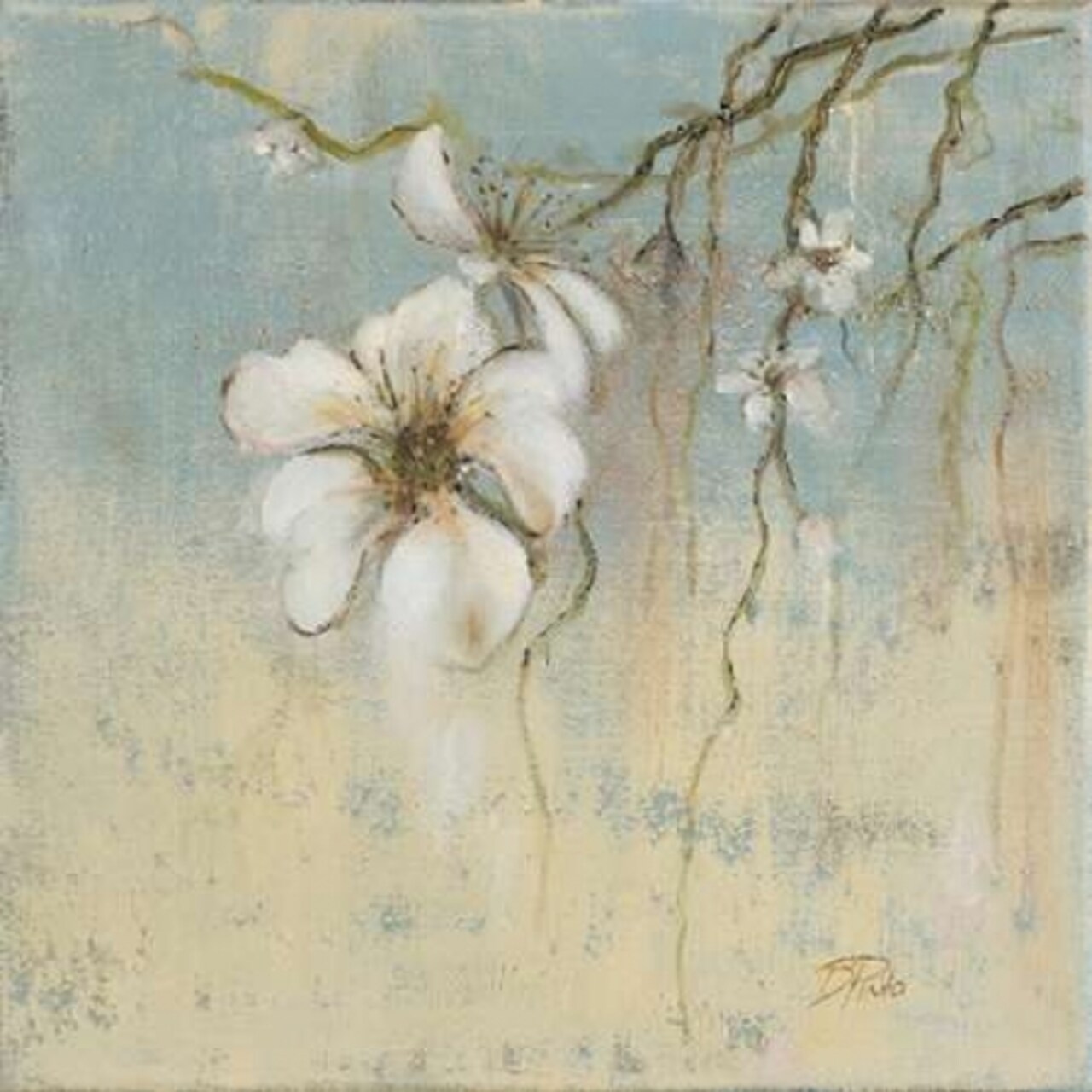 Cherry Blossom I Poster Print by Patricia Pinto - Item # VARPDX7507